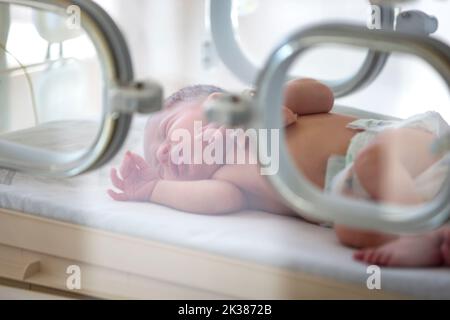 Un neonato si trova nelle scatole dell'ospedale. Un bambino in un incubatore. Unità di terapia intensiva neonatale e prematura Foto Stock