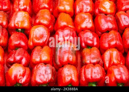 Molti peperoni rossi grandi e dolci piegati in file. Foto Stock