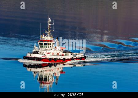 Rimorchiatore a Eyjaffjordur, Akureyri, Islanda, Europa Foto Stock