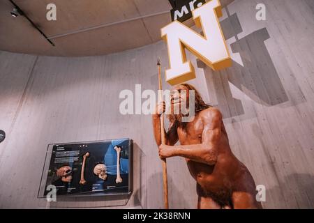 22 luglio 2022, museo di Neanderthal, Germania: Figura in cera dettagliata del caveman preistorico di Neanderthal con lancia nel museo. Antropologia dei Sapiens umani Foto Stock