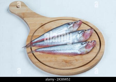 Acqua dolce Pabda pesce del sud-est asiatico isolato su sfondo bianco. Foto Stock