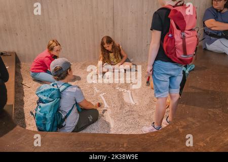 22 luglio 2022, museo di Neanderthal, Germania: Gli archeologi dei bambini giocano a scavare uno scheletro di Neanderthal durante un tour del museo Foto Stock