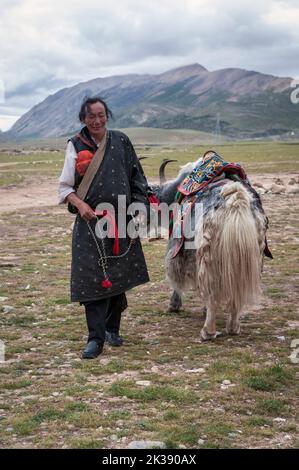 Pellegrino tibetano e un yak con sella colorata ed etnica in una piattaforma panoramica a est dei Monti Nyenchen Tanglha, a Damxung, Lhasa, Tibet. Foto Stock