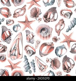 Le conchiglie sono diverse rotte, belle su uno sfondo bianco. Illustrazione acquerello. Modello senza cuciture da un ampio set di BALENE. Per tessuto Foto Stock