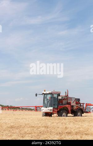 Irrorazione del raccolto in un campo di Barley di maturazione con un Bateman Sprayer in Sunshine con Light Cloud Foto Stock