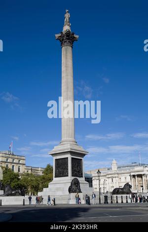 Nelson Colonna di Trafalgar Square a Londra Foto Stock
