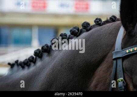 Scene del secondo giorno del Tribute Weekend dell'ippodromo di York, domenica 22nd maggio 2022, con la Sky Bet Sunday Series Foto Stock