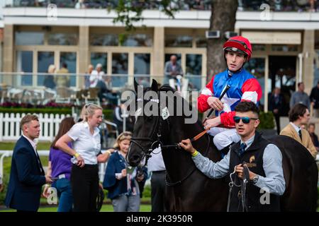 Scene del secondo giorno del Tribute Weekend dell'ippodromo di York, domenica 22nd maggio 2022, con la Sky Bet Sunday Series Foto Stock