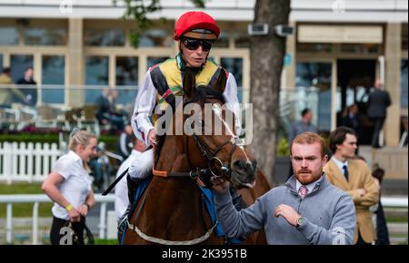 Scene del secondo giorno del Tribute Weekend dell'ippodromo di York, domenica 22nd maggio 2022, con la Sky Bet Sunday Series Foto Stock