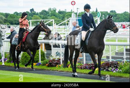 Scene del secondo giorno del Tribute Weekend dell'ippodromo di York, domenica 22nd maggio 2022, con la Sky Bet Sunday Series Foto Stock