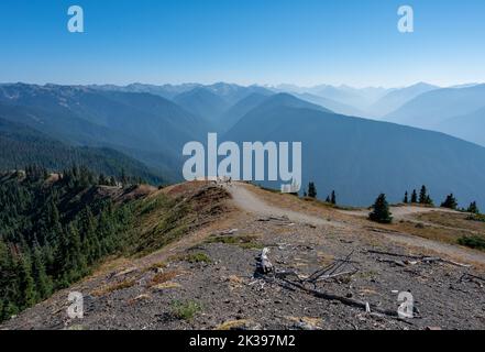 Gli escursionisti in lontananza si godono la vista delle montagne nell'Olympic National Park, Washington dal sentiero Hurricane Ridge nel soleggiato pomeriggio autunnale. Foto Stock
