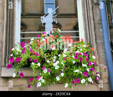 Pun finestra silhouette piper con cesto di fiori in primo piano Glasgow, Scozia, Regno Unito Foto Stock