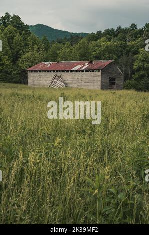 Vista di un fienile dalla strada circolare di Cades Cove nel Parco Nazionale delle Great Smoky Mountains Foto Stock