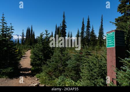 Cartello segnaletico i sentieri escursionistici nelle lussureggianti foreste del Garibaldi Park della British Columbia. Foto Stock