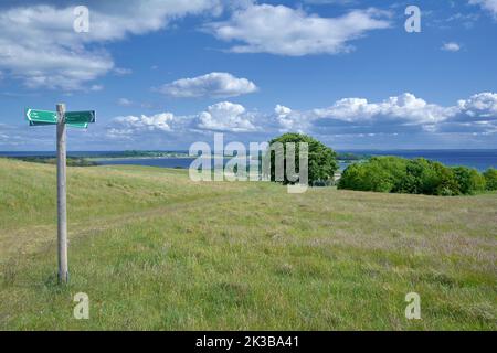 Sentiero escursionistico su Zicker Berg, Moenchgut Riserva Naturale vicino a Gross Zicker, Ruegen, mar baltico, Germania Foto Stock