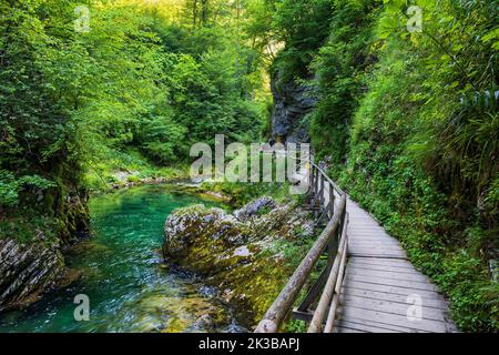 Passerella in legno lungo il fiume di montagna che scorre attraverso la Gola di Vintgar nel Parco Nazionale del Triglav in Slovenia. Foto Stock