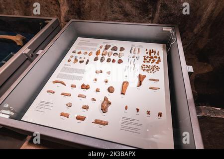 22 luglio 2022, Dusseldorf, Germania: Resti di ossa di un'età lapidea homo sapiens preistorico e neanderthal persone in museo Foto Stock