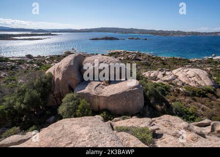 Costa selvaggia della Sardegna, isola Caprera Foto Stock