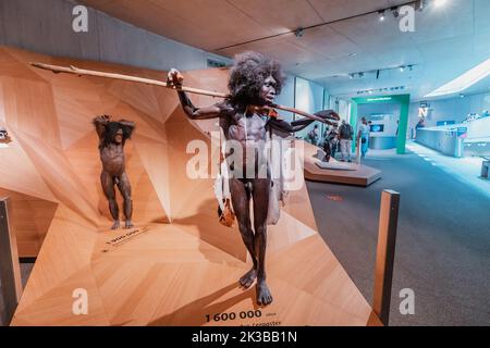 22 luglio 2022, museo di Neanderthal, Germania: Statue di cera dettagliate di un cacciatore di boe Homo Erectus Turkana da Kenia. Sapiens antropologia scienza e theo Foto Stock