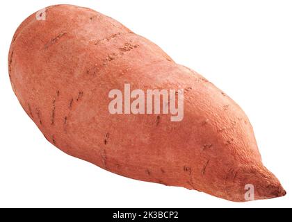 patata dolce, yam, isolato su sfondo bianco, percorso di ritaglio, piena profondità di campo Foto Stock