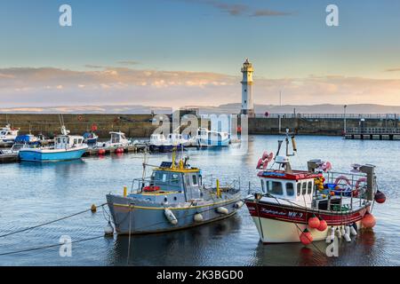 Alba al porto di Newhaven sul Firth of Forth, Edimburgo, Scozia. Foto Stock