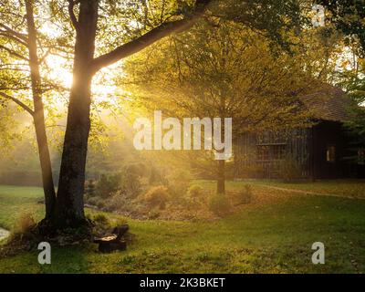 vecchia panca in legno in un giardino autunnale con un laghetto in controluce di luce al tramonto, calma atmosfera autunnale Foto Stock