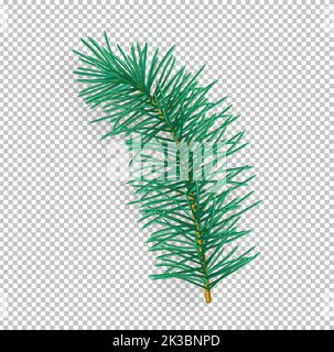 Ramo albero di Natale su sfondo trasparente. Illustrazione vettoriale per ramoscelli in abete verde. Illustrazione Vettoriale
