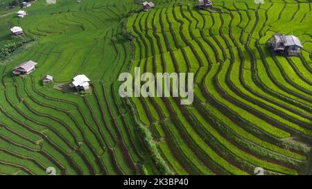 Vista aerea bella di piccola casa e risaie terrazzi campo a pabongpaing villaggio risaie terrazze Mae-Jam Chiang mai, Thailandia. Locale naturale biologico Foto Stock