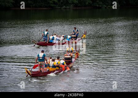 OLDENZAAL, PAESI BASSI - 10 SETTEMBRE 2022: Gare di dragon Boat per scopi di beneficenza. Un drago barca è una moto d'acqua a motore umano proveniente dal Foto Stock