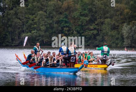 OLDENZAAL, PAESI BASSI - 10 SETTEMBRE 2022: Gare di dragon Boat per scopi di beneficenza. Un drago barca è una moto d'acqua a motore umano proveniente dal Foto Stock