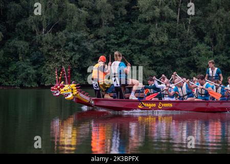 OLDENZAAL, PAESI BASSI - 10 SETTEMBRE 2022: Gare di dragon Boat per scopi di beneficenza. Un drago barca è una moto d'acqua a motore umano proveniente dal Foto Stock