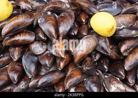 cozze farcite impilate l'una sull'altra Foto Stock