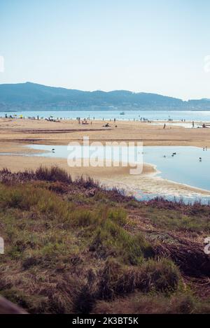 Spiaggia Vergine in europa con zone umide e fauna Foto Stock