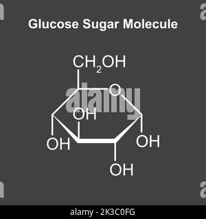 Illustrazione chimica della molecola di zucchero di glucosio. Illustrazione vettoriale. Illustrazione Vettoriale