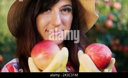 primo piano, ritratto di una donna contadina che indossa un cappello e guanti, che tiene in mano due grandi mele rosse. raccolta di mele in fattoria, in giardino. il giorno di sole autunno. Foto di alta qualità Foto Stock