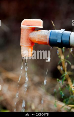Il rubinetto di plastica perde acqua in un campo lontano a Maharashtra India, stato di Lanja Foto Stock