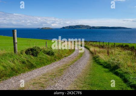 Percorso della fattoria attraverso i campi fino alla spiaggia a Southend vicino Mull of Kintyre Scozia con vista del mare Sanda Island e Sheep Island in estate Foto Stock