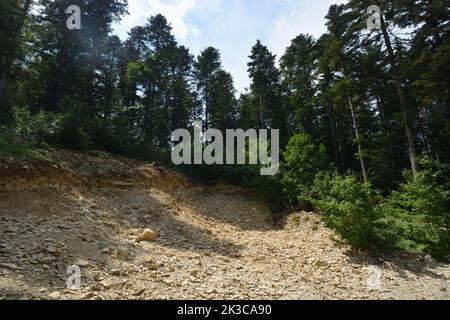 Paesaggio boscoso nel Giura Svevo, ex cava con rocce calcaree e foresta Foto Stock