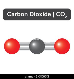 Modello molecolare della molecola di anidride carbonica (CO2). Illustrazione vettoriale. Illustrazione Vettoriale