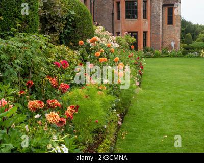 Chenies Manor giardino nel mese di settembre con alte dahlias arancio e rosa pesca pastello. Pianta di tabacco bianco e fogliame di Cosmos nel bordo della pianta. Foto Stock