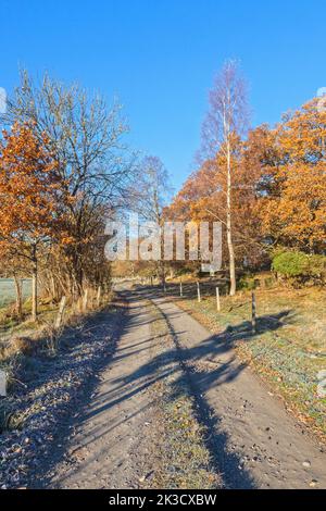 Strada sterrata attraverso il paesaggio autunnale Foto Stock