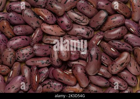 Runner Bean: Semi. Foto Stock