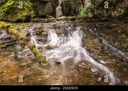 Catrigg Force, una cascata di Yorkshire Dales in una copse boscosa vicino Stainforth nel North Yorkshire, Regno Unito. Foto Stock