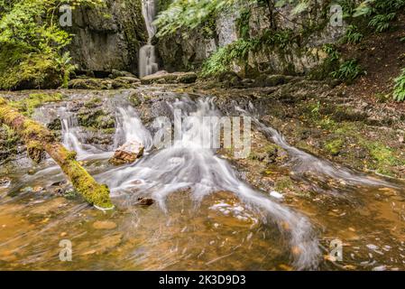 Catrigg Force, una cascata di Yorkshire Dales in una copse boscosa vicino Stainforth nel North Yorkshire, Regno Unito. Foto Stock