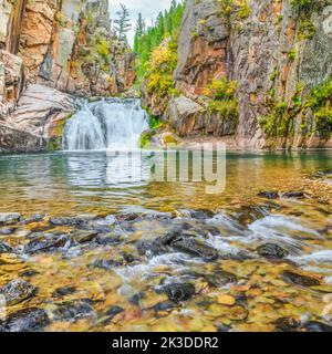 Cascata lungo tenderfoot creek nel piccolo belt le montagne vicino al bianco delle molle di zolfo, montana Foto Stock