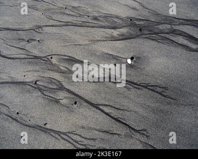 Modelli sulla spiaggia, Hvalba, Suðuroy, Faroes Foto Stock