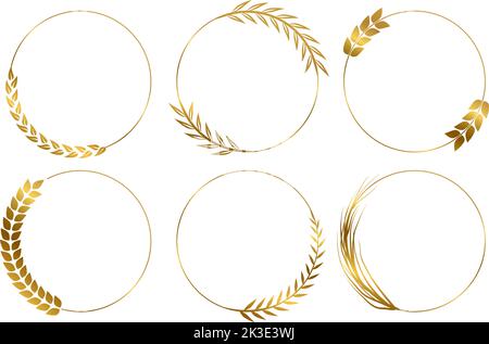 Alloro foglia di alloro. Corona isolata con rami, cerchi botanici d'oro. Decorazioni per anniversari, emblemi vettoriali per matrimoni o premi Illustrazione Vettoriale