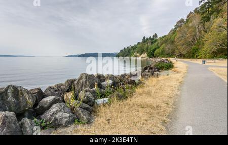 Acqua dolce nel Puget Sound vicino al litorale di Des Moines, Washington. Foto Stock