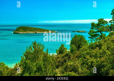 L'Isola dei campi nella Baia dei campi. Sia l'isola che la baia sono coperte e circondate da vegetazione mediterranea con pini d'Aleppo. Vieste Foto Stock