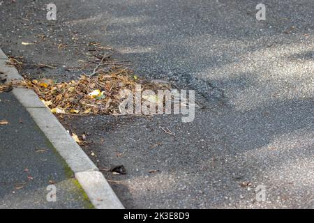 Drenaggio stradale bloccato con foglie dopo forte pioggia, Regno Unito Foto Stock